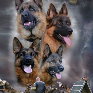 Meet your Posher, Lydia